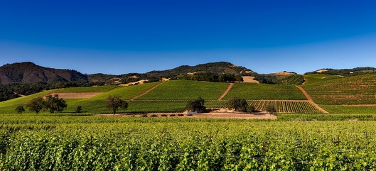 Napa Valley winery